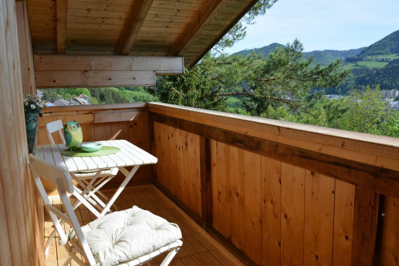 Appartement Kohlnberger 바이트호펜 안 데어 입스 외부 사진