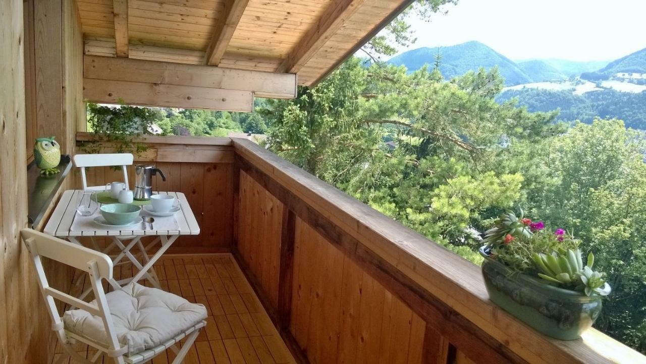Appartement Kohlnberger 바이트호펜 안 데어 입스 외부 사진
